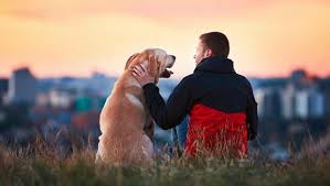 Are Dog Owners Healthier People? | ACTIVE